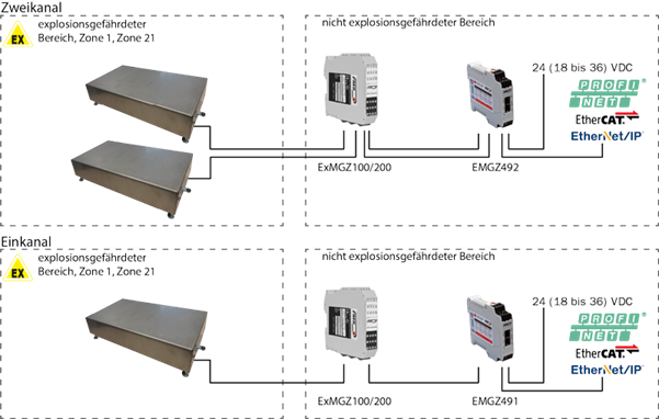 FMS